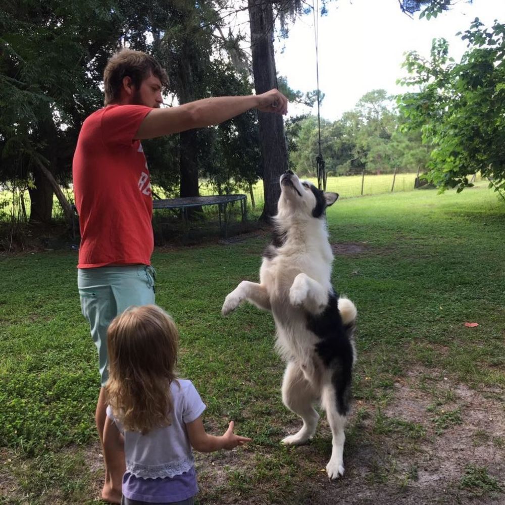 Meet your Posher, Trenton